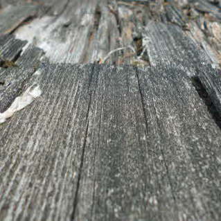 Morsches Holz ausbessern und verfestigen