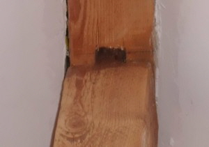 Selber bauen mit Holz: Holzbalken mit Zapfverbindung Selber bauen mit Holz: Holzbalken mit Zapfverbindung