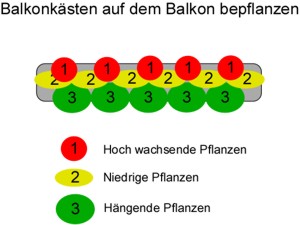 Balkonkästen Balkon bepflanzen Balkonkästen Balkon bepflanzen