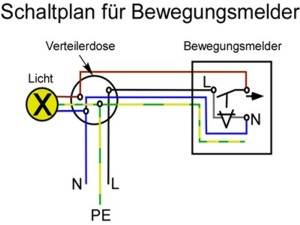 Heimwerker-Tipps: Bewegungsmelder im Garten installieren so geht