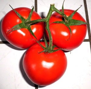 Tomaten im Haus überwintern