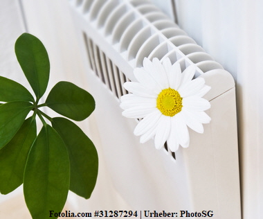 Fotolia_31287294_XS Fotolia_31287294_XS