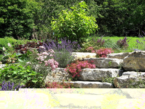 ursula55@pixabay.de - nature-946004_1280