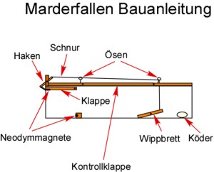 Marderfalle Bauanleitung Bauplan