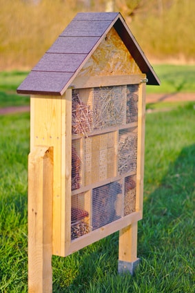 Insektenhotel Insektenhaus bauen