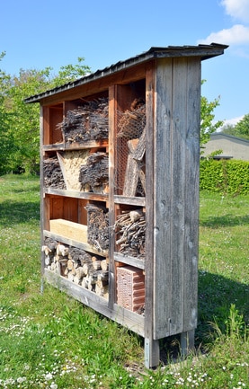 Insektenhotel bauen