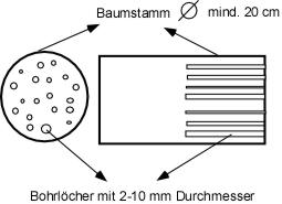 Bauanleitung Bauplan Insektenhotel