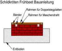 Schildkröten Frühbeet Bauanleitung