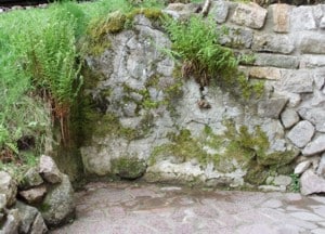 Eine Steinmauer im Steingarten sieht durch Bewuchs natürlich aus