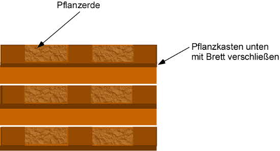 Kräuterwand aus einer Europalette selber bauen