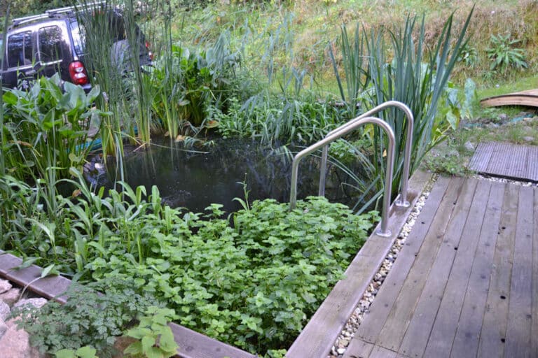 Einen Gartenteich anlegen Hilfreiche Tipps mit Bauanleitung